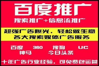 竞价广告赚钱秘籍：百度实战案例